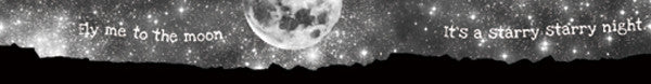 BFADMJ004633 Maste Nature Nightsky - Washi Tape b